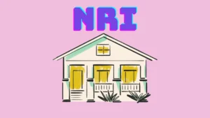 എൻആർഐകൾ നാടിൻറെ വികസന പങ്കാളികൾ