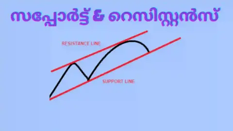 പിന്തുണയും പ്രതിരോധവും